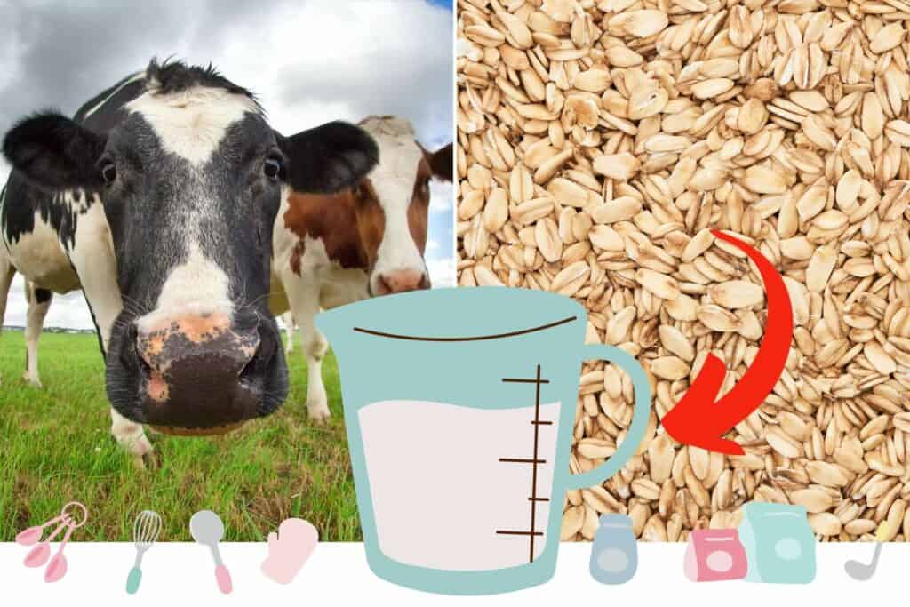 Can Oat Milk Be Used Instead Of Cow's Milk In Recipes?