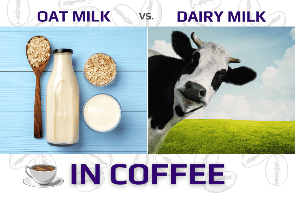 Oat Milk Vs. 2 Diary Milk In Coffee Taste, Nutrition & More