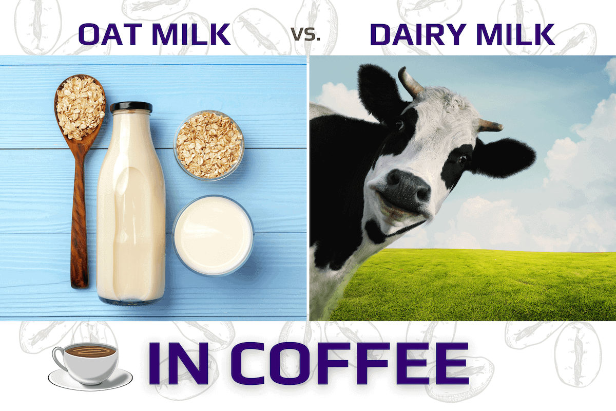 Oat milk vs dairy milk in coffee