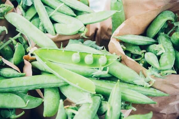 close up of fresh pea pod