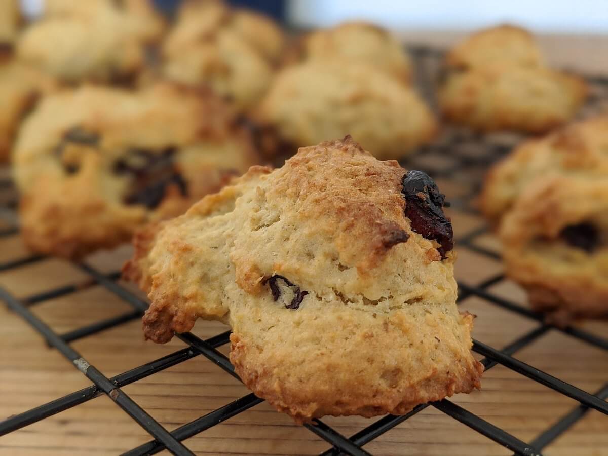 oat pulp cookies